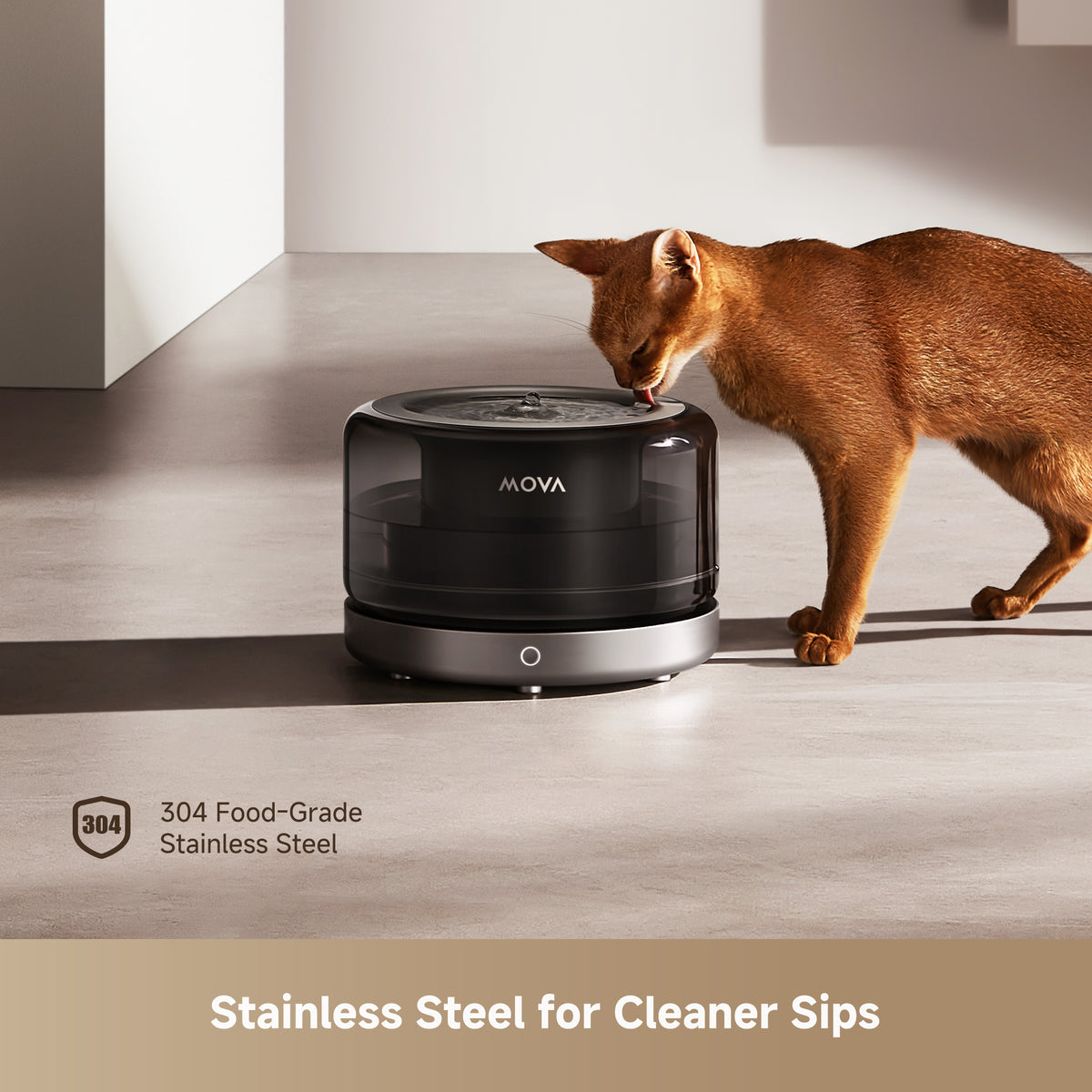 Pet water fountain on floor with cat drinking nearby, black and silver design