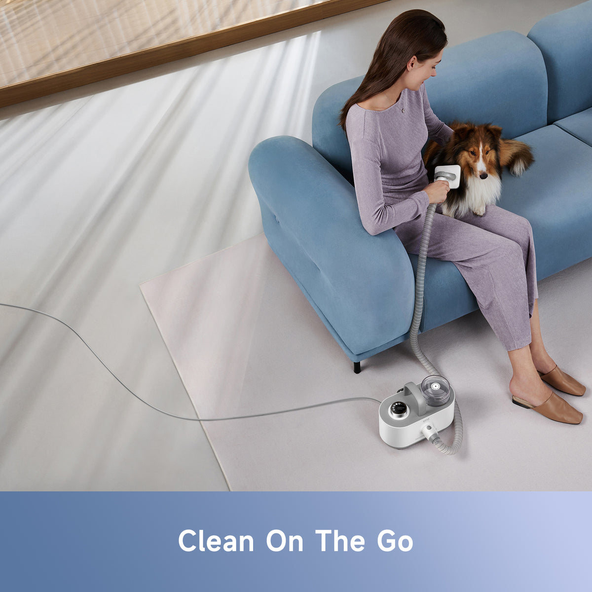 Pet grooming vacuum kit being used on a dog on a sofa