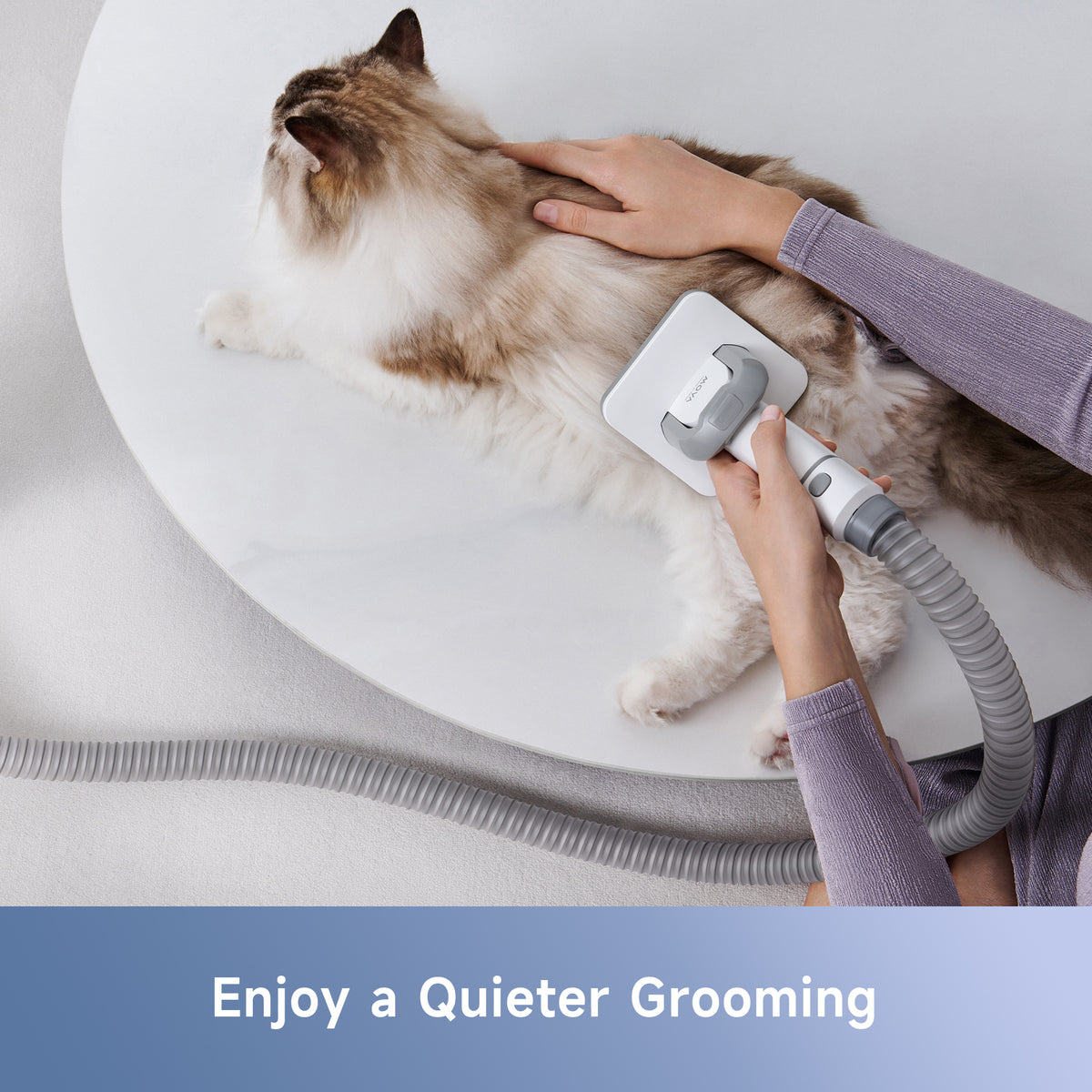 Pet grooming vacuum brush and hose vacuuming a dog on a cushion