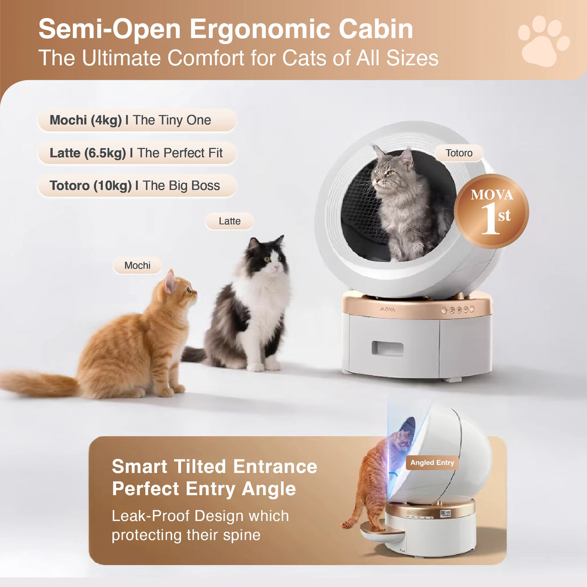 Grey self-cleaning smart cat litter box with circular doorway and large cat inside