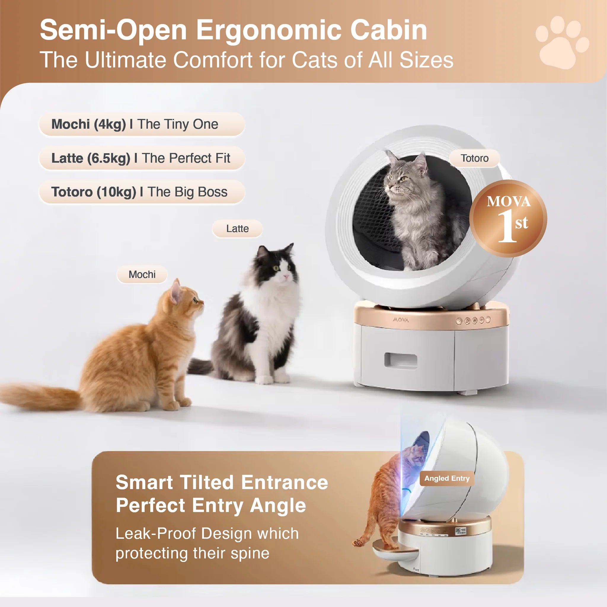 Grey self-cleaning smart cat litter box with circular doorway and large cat inside