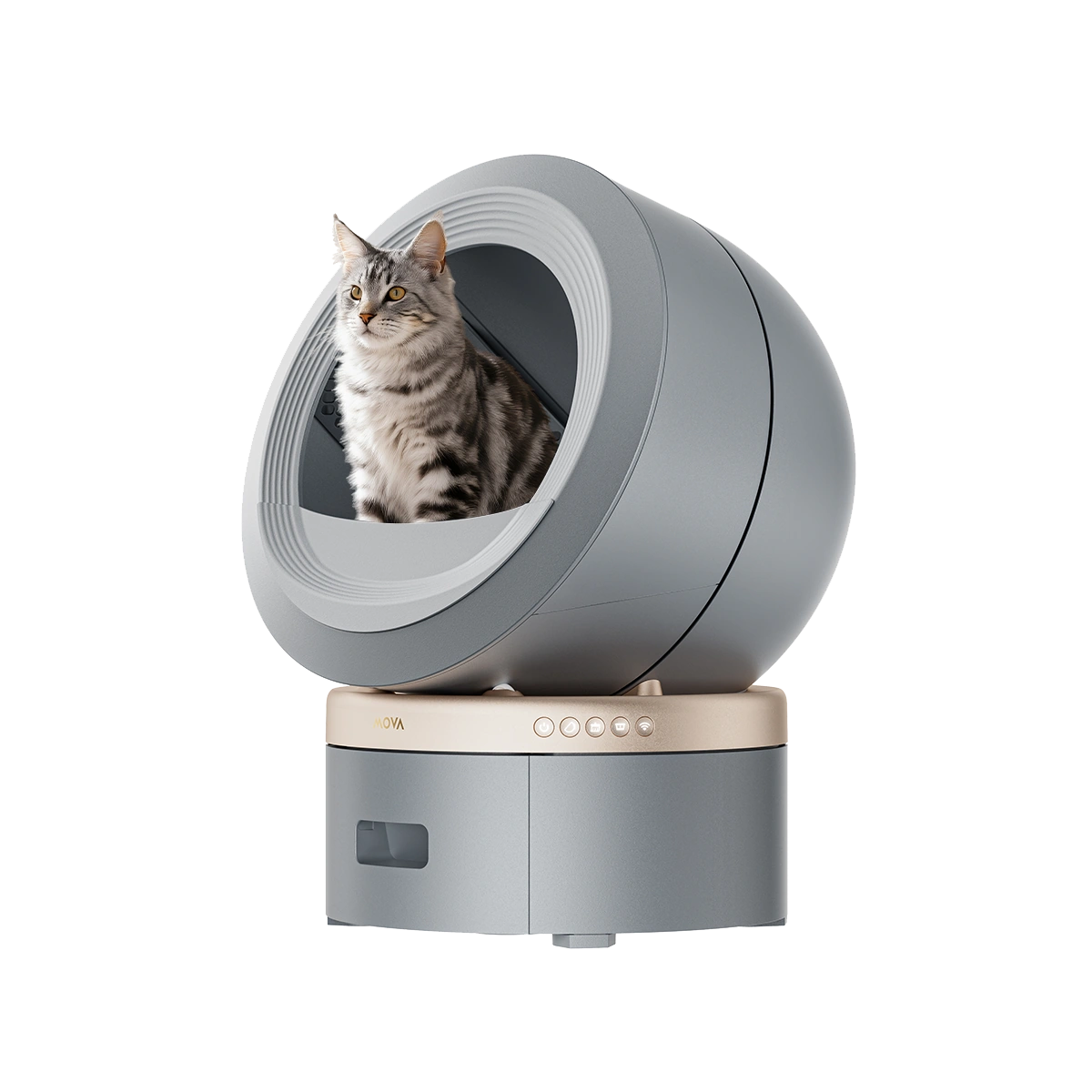 Litter Box