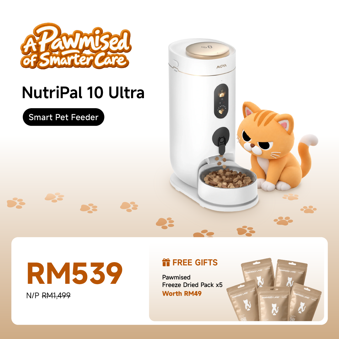 White smart pet feeder base with lid and front control panel, pet food hopper