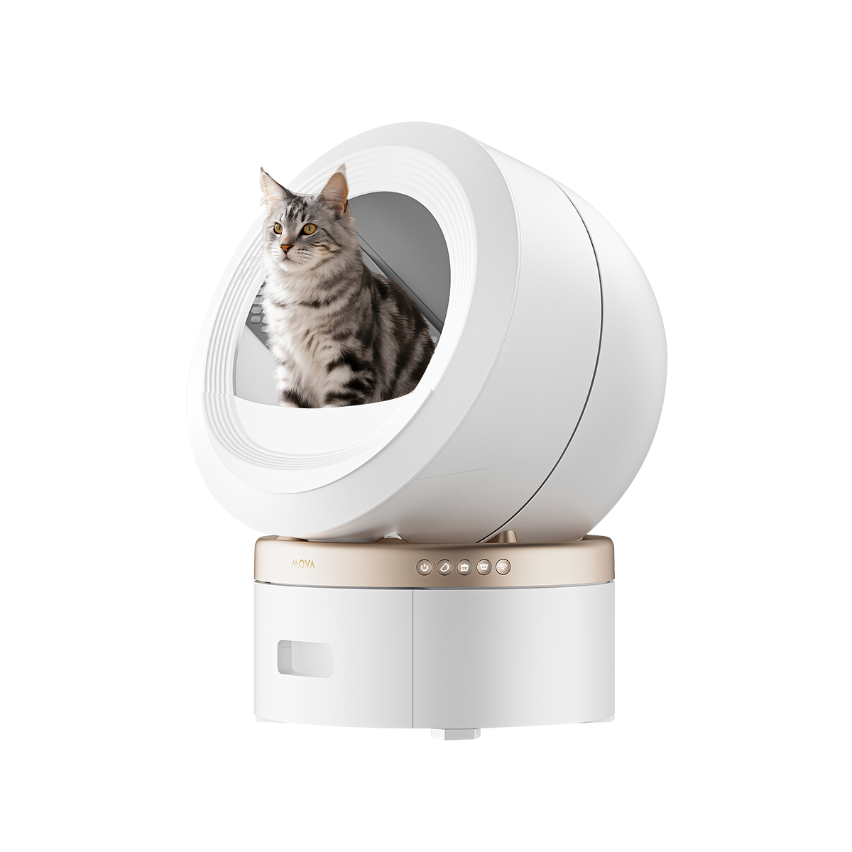 Pearl white enclosed smart pet litter box with a cat sitting inside the viewing window